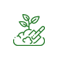 Plante si Flori